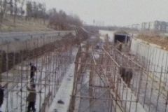 ���������Ź��ǰ庭����